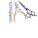 Untitled design (13)