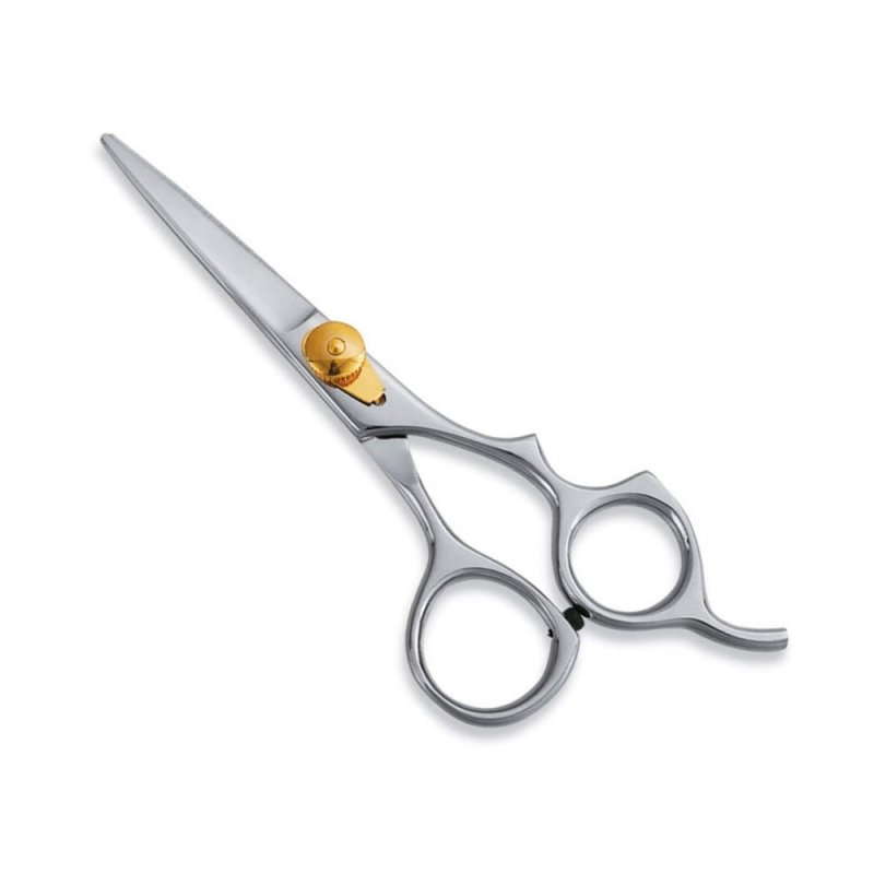1 Hair Cutting Scissors