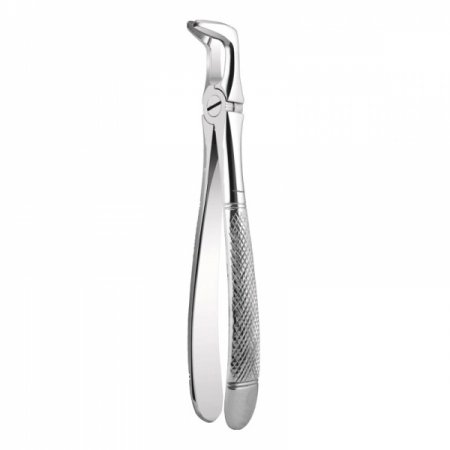 10 Apical Retention Forceps
