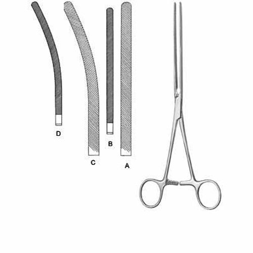 15 Intestines & Stomach