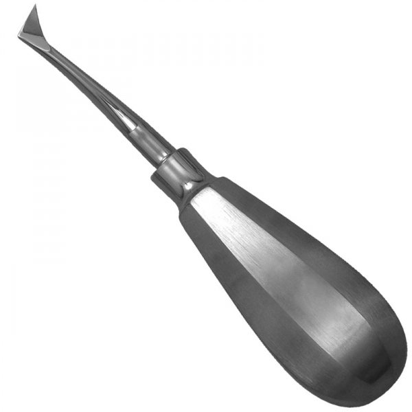 17 Root Elevators Pedo