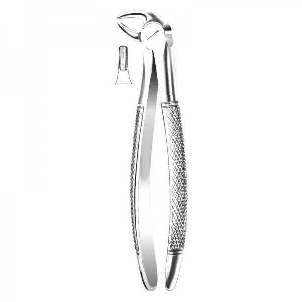 4 Anterior Forceps